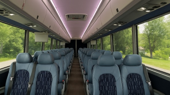 Interior of Tampa Party Bus Company's 28 Passenger Minibus in Tampa