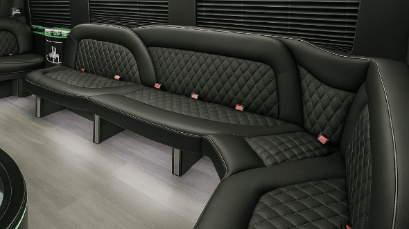 tampa 14 passenger sprinter limousine interior