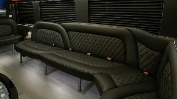 tampa 18 passenger party bus rental