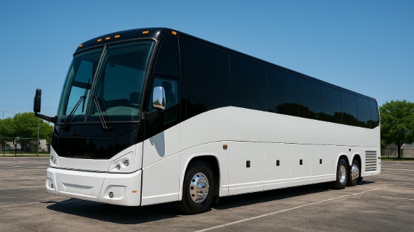 Tampa 40 passenger party bus